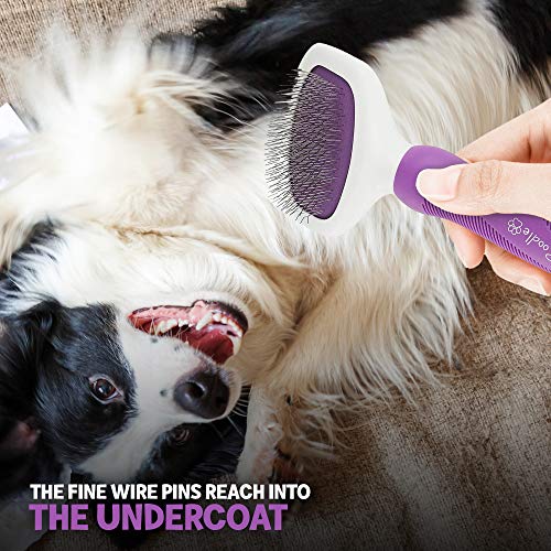 Poodle Pet Slicker Brush for Small and Large Dogs Pet Hair Remover with Rotating Head | Effectively and Effortlessly… - Image 5