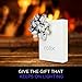 Ralix Electronic Lighter | Single Arc Flameless Plasma Lighter | Rechargeable | Wind Resistant | Best for Lighting Cigarettes, Candles & More | Includes USB Charger & Luxury Gift Box