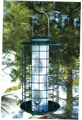 Vari-Crafts 1 qt. Mixed Seed Bird Feeder