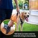 iBuddy Dog Harness No Pull Vest Harnesses for Medium and Large Dogs with Handle and Front/Back Leash Attachments, Easy On and Off Reflective Adjustable Pet Harness Non Choke for Walking and Training