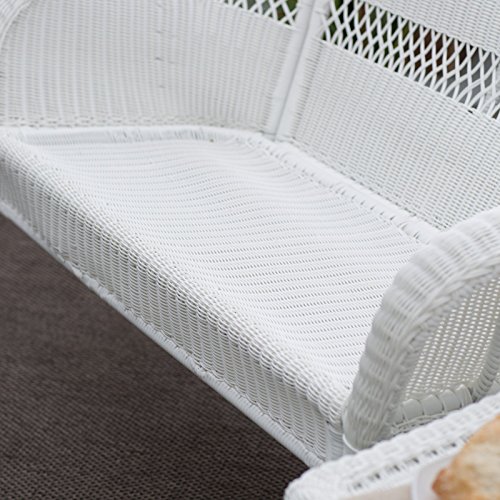 Coral Coast Casco Bay Resin Wicker Porch Swing