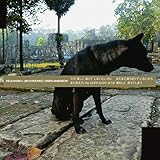 Only Wanting to Melt Beautifully Away Is It a Lack