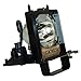 Aurabeam Economy Lamp Replacement for Mitsubishi 915B455012 with Housing