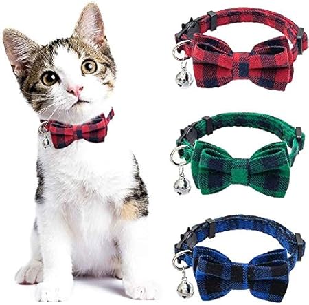 small kitten collars