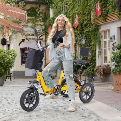 Electric Tricycle for Adults, Peak 500W Brushless Motor Electric Trike, 480Wh Removable Battery, Step-Thru 3 Wheel Electric Bike, 2 Seats, Up to 45 Miles, Folding E Trike Ebike, Gift for Parents