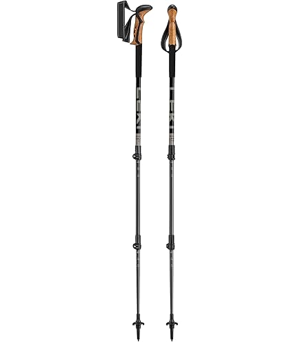 LEKI HTS 6.0 スキー ストック 110cm&105cm Amazon.com : LEKI Nordic Walking Ultra ALU Carbon HTS 6.0 Series