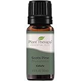 Plant Therapy Scots Pine Essential Oil 10 mL