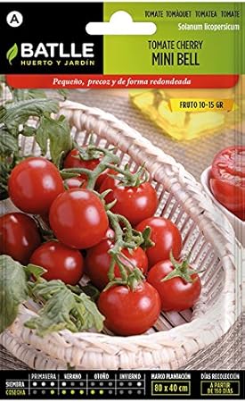 Semillas Hortícolas - Tomate Cocktail tipo Cherry - Batlle: Amazon ...