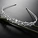 Pixnor Wedding Party Bridal Bridesmaid Flower Girl Double Faux Pearl Crown Headband Tiara