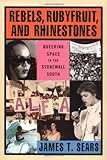 Rebels, Rubyfruit, and Rhinestones: Queering Space in the Stonewall South