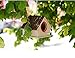 kathson Bird House for Outside Clearance Parakeet Nesting Box Wooden Houses Hanging Wood Breeding Outdoor Parrot Birdhouse Natural Aviary Cage Accessories for Lovebirds Cockatiel Finch Budgie Bluebird