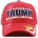 The Hat Depot 1300 Donald Trump 2016 