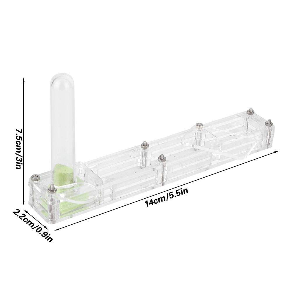 Ant Breeding Box, Acrylic Ant Breeding Nest Ant Farm House Ant Display Box with Water Tower, Moisturizing, with 1Pcs Dropper, 1Pcs Clamp, 1Pcs Glass Bottle(Transparent)