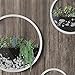 SHE’S HOME Round Glass Wall Planter, Indoor Decorative Contemporary Morden Circle Iron Vase for Herb,Small Cactus for Room Decor, 10″ H, Whitethumb 4