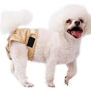 puppy pants pets at home