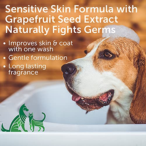 Nootie Pet Shampoo for Sensitive Skin Revitalizes Dry Skin & Coat