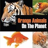 Orange Animals On The Planet by Baby Professor