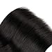 ZXZ Brazilian Straight Human Hair 10 Inch Lace Closure 4x4 Free Part Swiss Lace Closure 130% Density Natural Color (10, ST)
