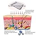 Far Infrared Electric Warm Pad with Innovative Graphene Heating Material, for Back, Cramps, Pain Relief