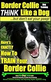 Image de Border Collie Dog Training | Think Like a Dog, But Don’t Eat Your Poop! |: Here's EXACTLY How To Train Your Border Collie