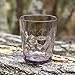 8 oz Premium Juice Glasses - Set of 4 - Unbreakable Tritan Plastic - BPA Free - 100% Made in Japan (Smoky Gray)