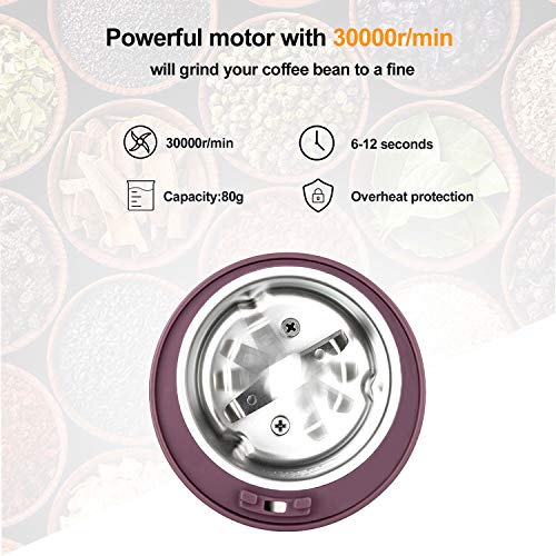 PARACITY Electric Coffee Grinder Grain Mill Portable Automatic Milling Machine with Replacement Stainless Steel Blade for Dry Herb Spice Peanut Grains Beans