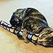Catnip Kicker Toy Set of 2 (11