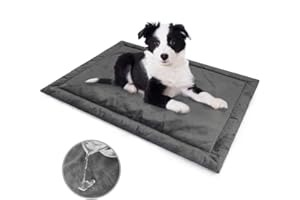 Allisandro Water-Proof Dog Bed, Washable Mat Crate Pad, Durable Pet Beds Soft Dog Mattress, Anti-Slip Kennel Pads for Dogs, Cats and Small Animal, Grey (31.4 x 23.6 Inches)