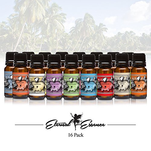 The 10 best rainmate air purifier fragrance oil for 2019 Sideror Reviews