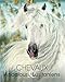 Chevaux andalous et lusitaniens by 