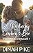 A Kentucky Cowboy's Love (Bourbon Creek Romance) by Dinah Pike