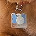 ThunderCover Dog Tag Silencer by ThunderShirt