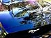 Renew Protect Glas - 1/2 Price Sale - SiO2 & TiO2 Nano-Ceramic Hydrophobic Coating for Whole Car & RV - Windshield - Glass - Patio Furniture - Shower Door // 8oz + Free GLOZ Sample