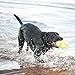 Squeaker Football Large