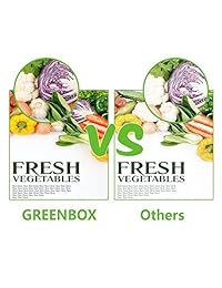 GREENBOX Cartucho de tinta remanufacturado de repuesto para HP 952XL utilizado en HP OfficeJet Pro 8710 8720 7720 8730 7740 8216 8210 8716 8715 8725 impresora (1 negro, 1 cian, 1 magenta, 1 amarillo)