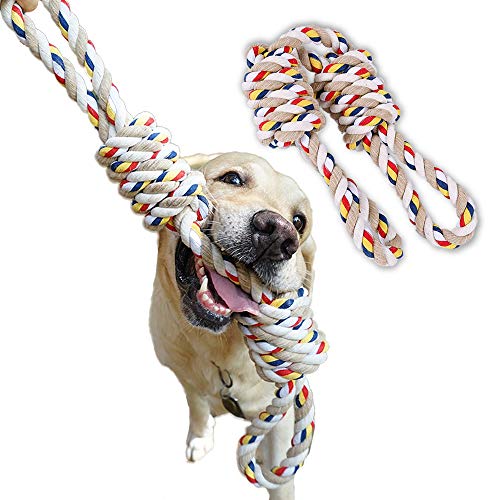 large dog rope