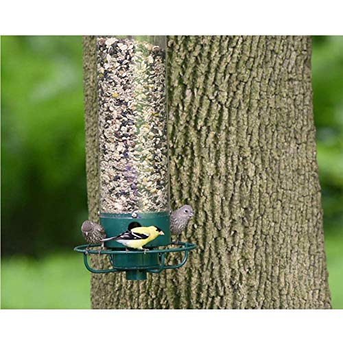Droll Yankees Yankee Flipper Squirrel-Proof Bird Feeder, 21 Inches, 4 Ports, Forest Green (Renewed)