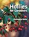 Hollies for Gardeners