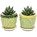 MyGift 4-Inch Decorative Green & Yellow Bamboo Designed Ceramic Flower Pots with Attached Saucer, Set of 2