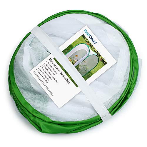 2 RESTCLOUD+Monarch+Butterfly+Collapsible+Terrarium