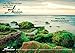 Abundance Calendar September 2018/5778 through December 2019/5779 by 
