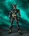 S.I.C. Kamen Rider Gills & Kamen Rider Another Agito (Completed) [JAPAN] by Bandai