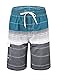 Nonwe Men's Swimwear Quick Dry Striped Board Shorts