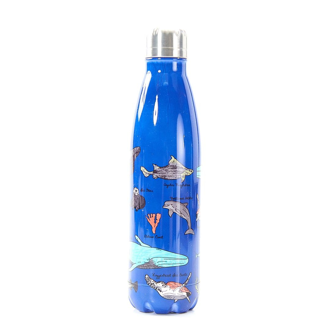 Eco Chic T06 Thermal Bottle, stainless_steel, 500 milliliters