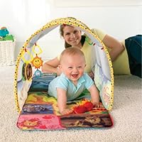 baby einstein tunnel