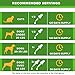 Pawesome Dewormer for Dogs and Cats - Made in USA Broad Spectrum Worm Treatment - Eliminates & Prevents Tapeworms, Roundworms, Hookworms, Whipworms - All Breeds and Size - Puppy & Kitten - 2oz