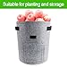 TQQFUN 2 Pack 7 Gallon Smart Potato Bags Velcro Window Vegetable Bags, Double Layer Premium Breathable Nonwoven Cloth for Potato/Aeration Fabric Pots with Handles（Gray）