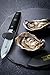 DALSTRONG Oyster Shucking Knife - 2.75