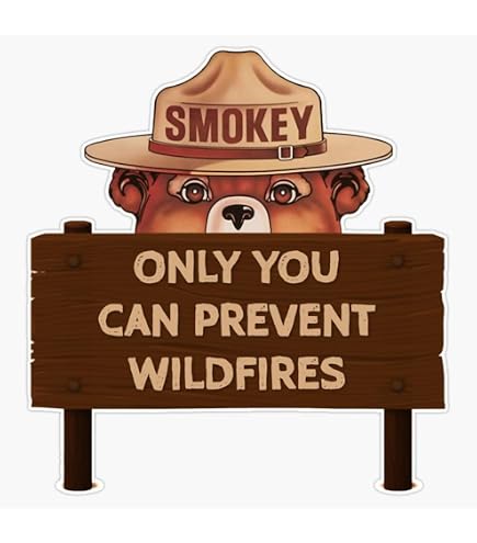 thumbnail image 2 of Smokey Bear "Only You" Vinyl Sticker Decal – 5.25 Inches Tall 2 of 3