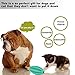 Non-Toxic Dog's Chew Toy Balls [Bite Resistant] Dog Chew and Teeth Cleaning Balls With Teeth Design for Cleaning (1 mint toy)